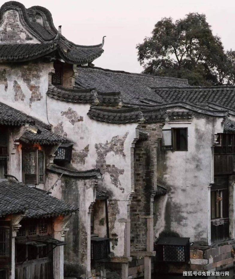 冷知识分享平台-误吃毒蘑菇中毒后是什么体验?,带你领略无限趣味世界